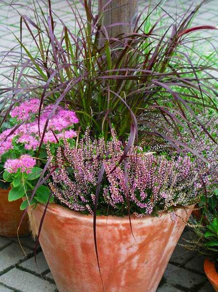 Autumn potée